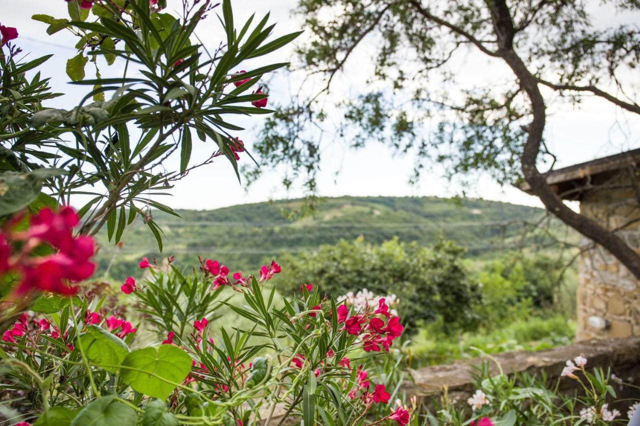 Cozy Istrian House Guest House Izola Exterior photo